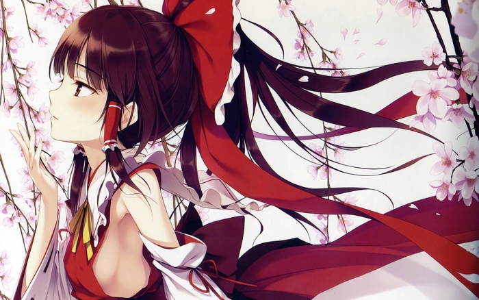 Reimu Hakurei from Touhou Project