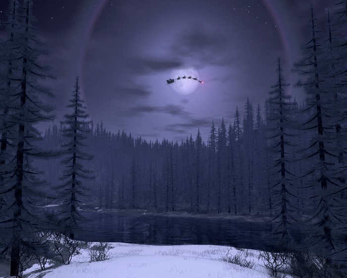 Santa's Sleigh Flying Over a Snowy Forest at Night