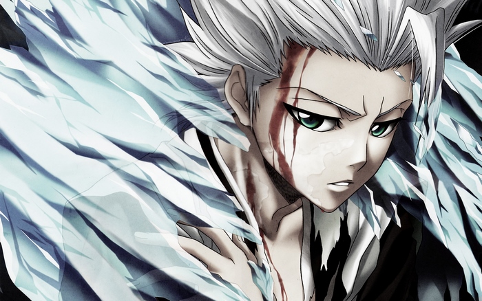 Tōshirō Hitsugaya from Bleach
