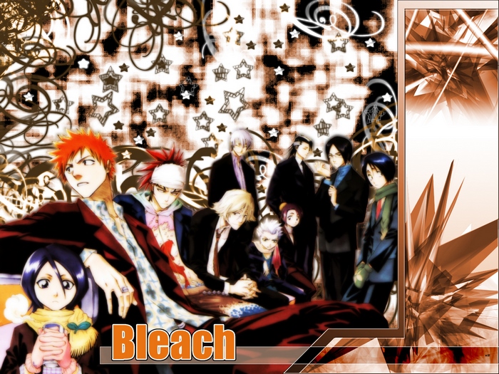 Bleach characters group portrait