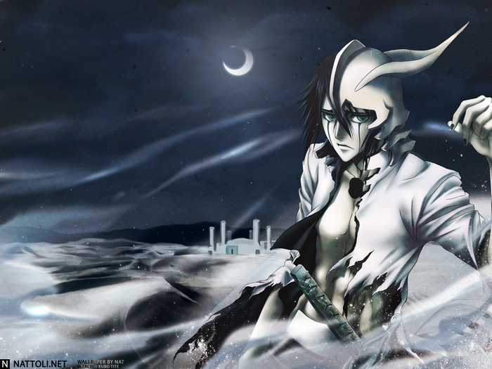 Ulquiorra Cifer from Bleach