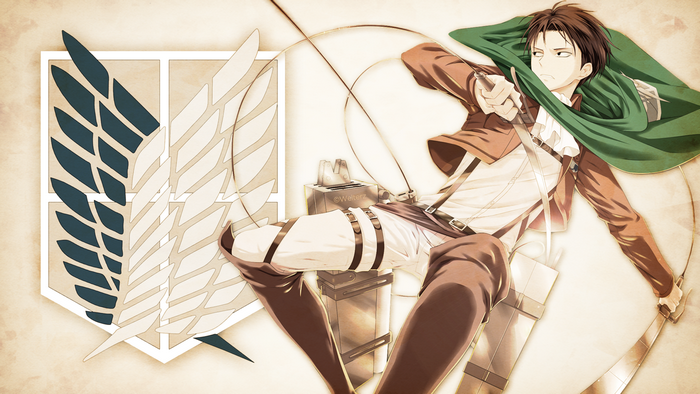 Levi Ackerman from Attack on Titan