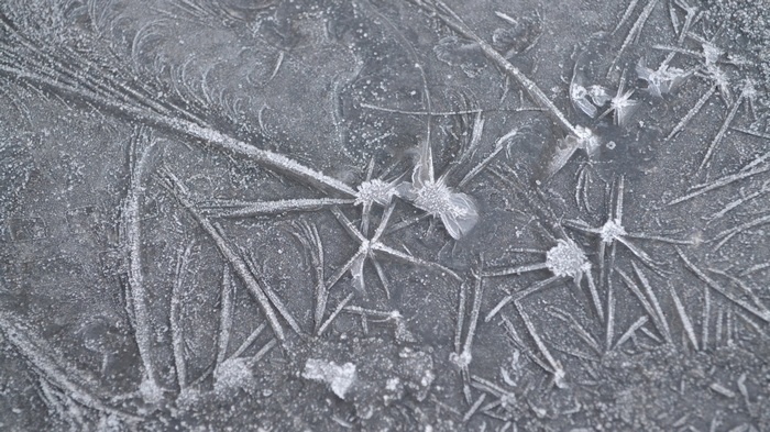 Ice crystals forming on a dark surface