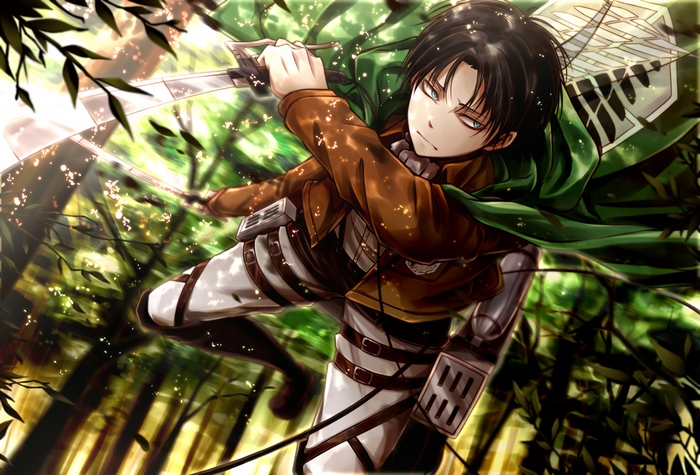 Levi Ackerman from Attack on Titan