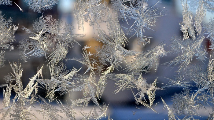 Close-up of frost patterns on a window