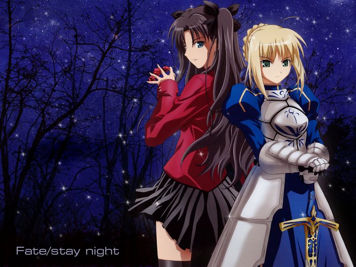 Rin Tohsaka and Saber from Fate/stay night