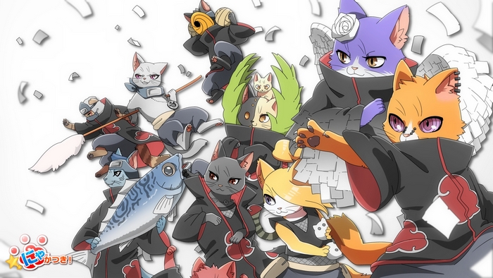 Cats dressed as Akatsuki members from Naruto