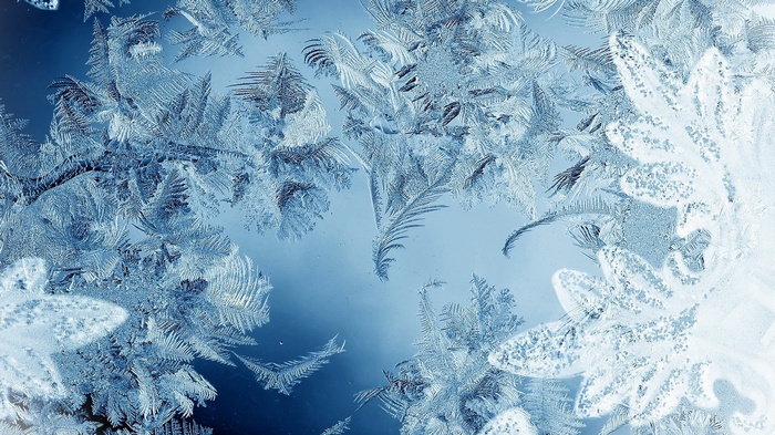 Frost patterns on glass