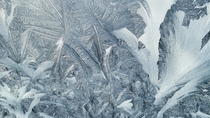 Close-up of frost patterns on a window