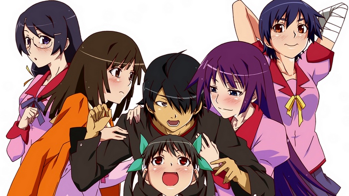 Hitagi Senjougahara and friends from Monogatari Series