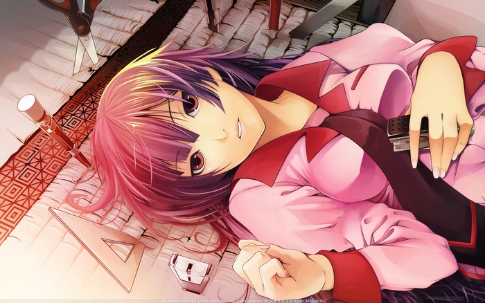 Hitagi Senjougahara from Monogatari Series