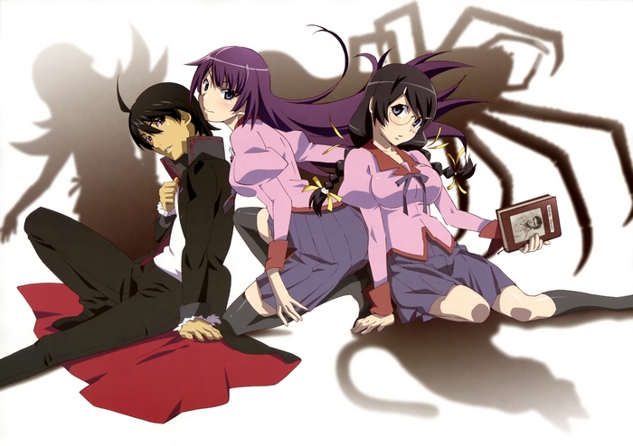 Hitagi Senjougahara from Monogatari Series