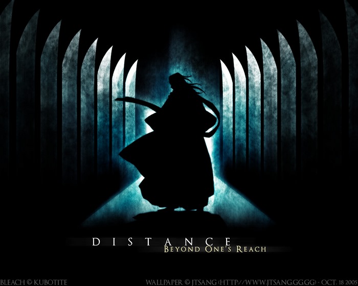 Byakuya Kuchiki from Bleach