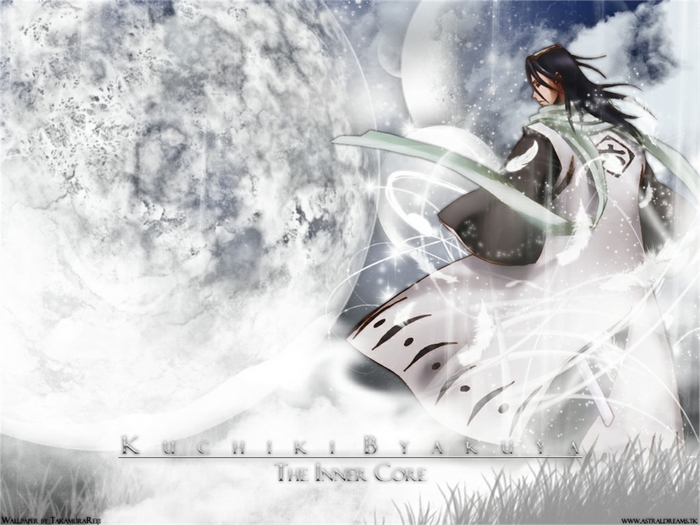 Byakuya Kuchiki from Bleach