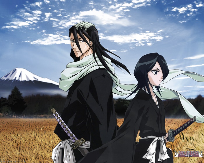 Byakuya Kuchiki and Rukia Kuchiki from Bleach