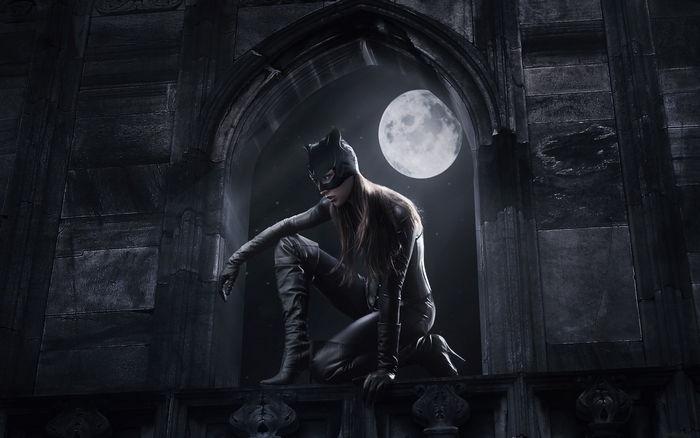 Catwoman crouching on a ledge under the moon