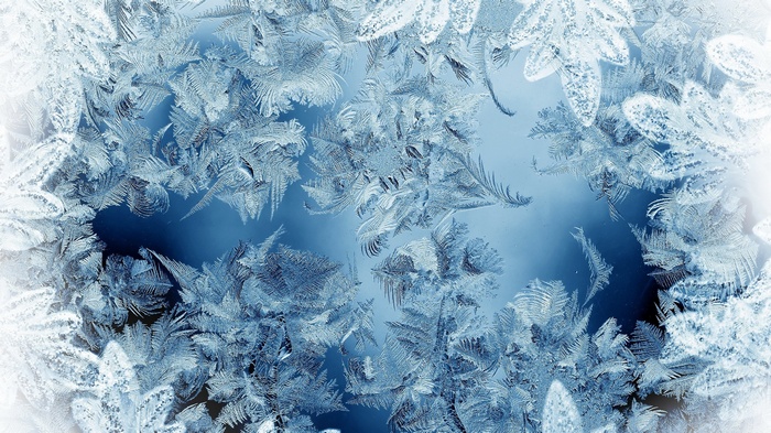 Close-up of frost patterns on a blue surface