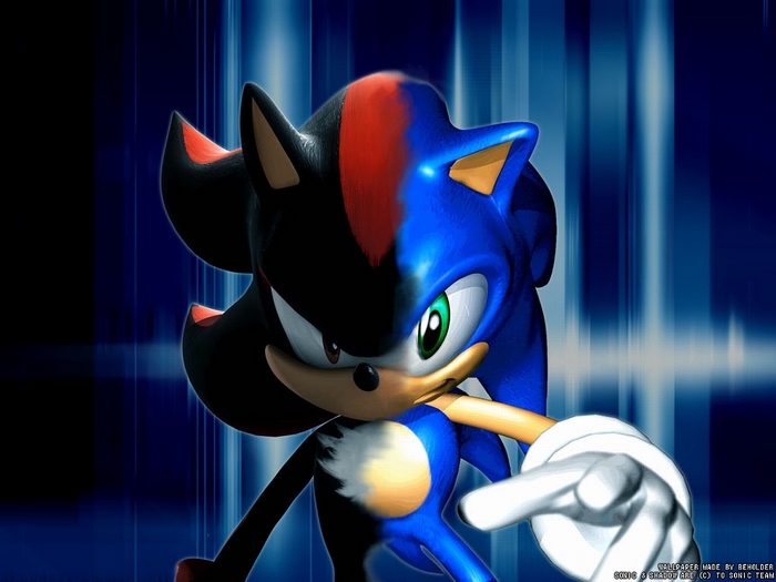 Shadow and Sonic from Sonic the Hedgehog
