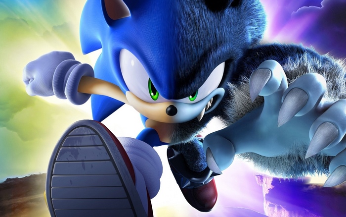 Sonic the Hedgehog Werehog from Sonic Unleashed