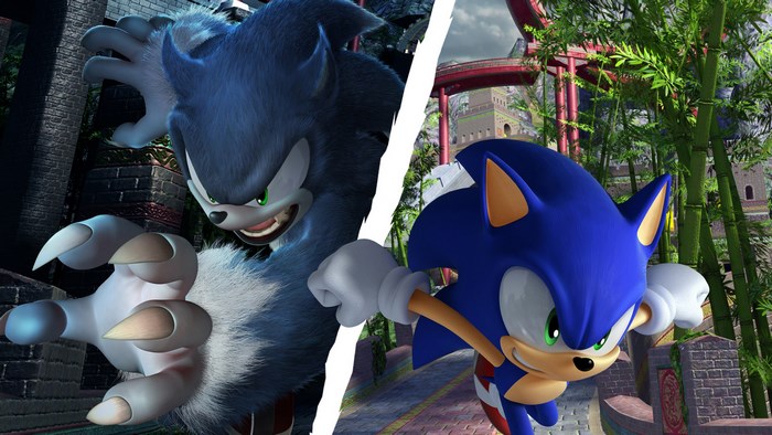 Sonic the Hedgehog and Werehog from Sonic Unleashed