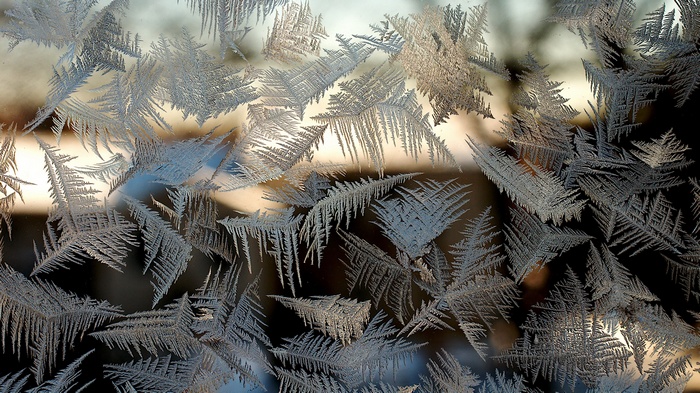 Frost patterns on a window
