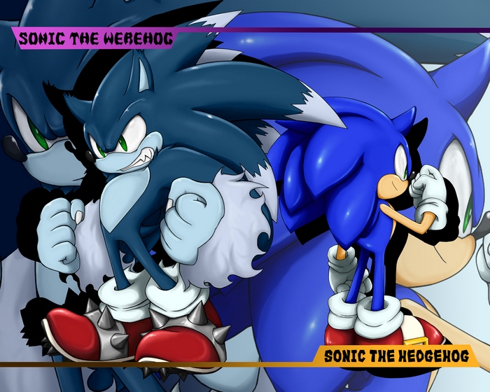Sonic the Werehog and Sonic the Hedgehog