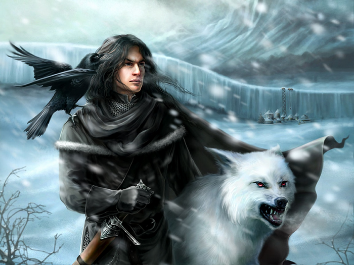 Jon Snow with Direwolf and Raven at the Wall