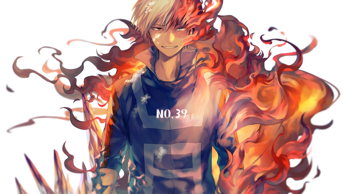 Shouto Todoroki from My Hero Academia