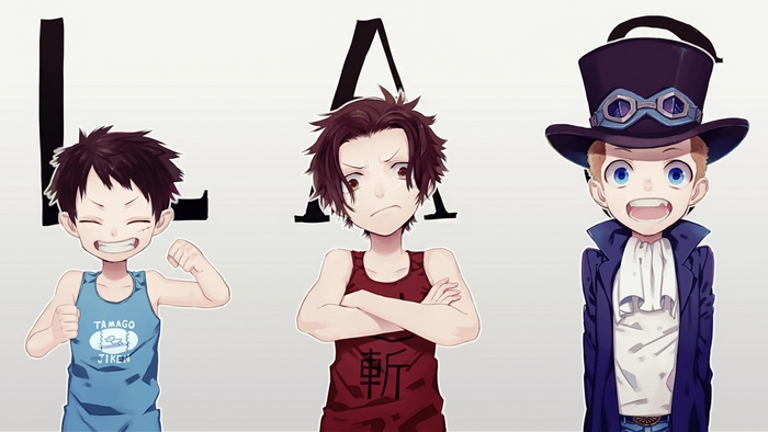 Luffy, Ace, and Sabo from One Piece