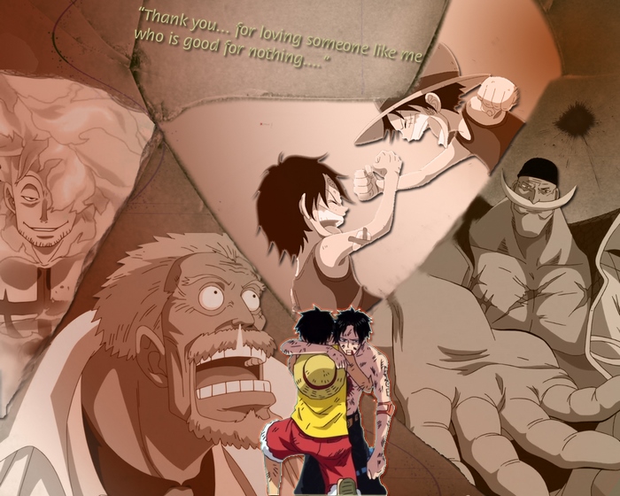 Monkey D. Luffy and Portgas D. Ace from One Piece