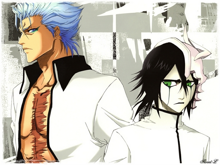 Grimmjow Jaegerjaquez and Ulquiorra Cifer from Bleach