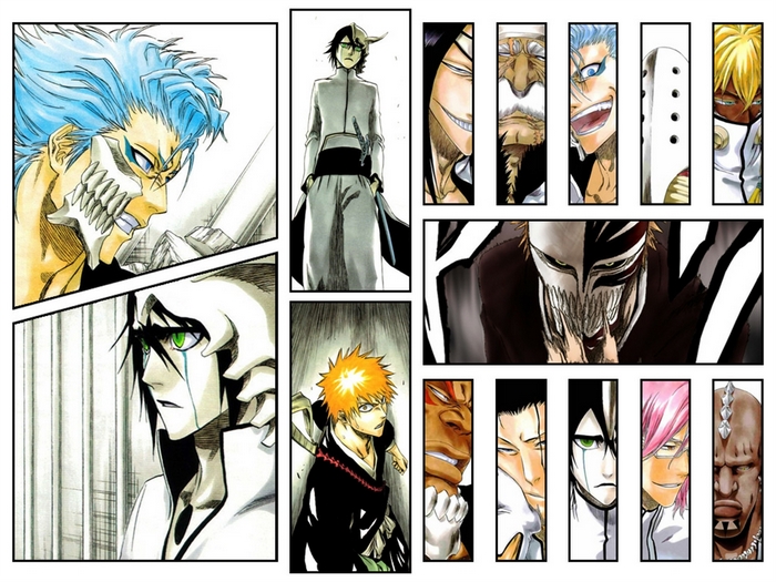 Grimmjow Jaegerjaquez and Ichigo from Bleach