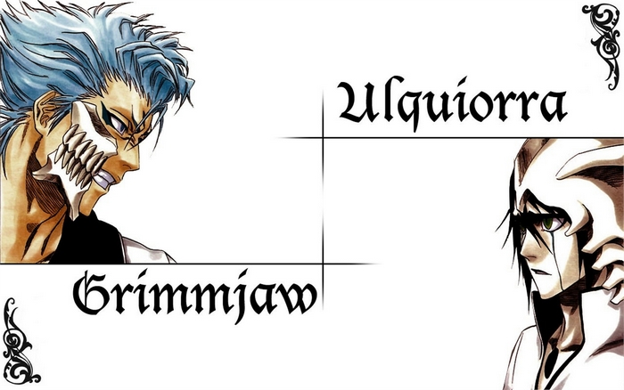 Grimmjow and Ulquiorra from Bleach