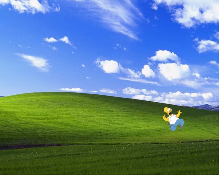 Homer Simpson on Bliss