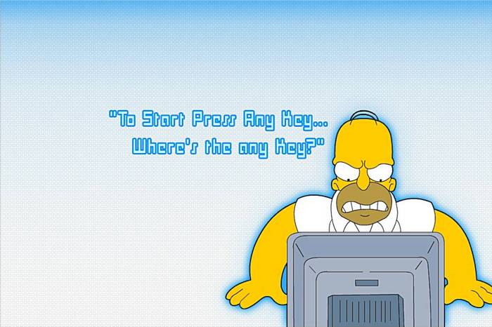 Homer Simpson from The Simpsons looking at a computer
