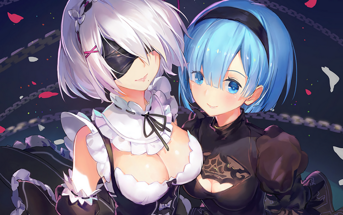 2B and Rem from NieR:Automata and Re:Zero