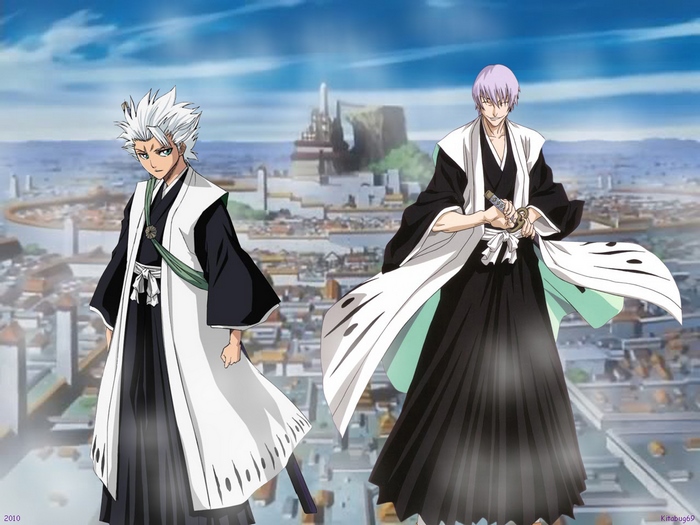 Toshiro Hitsugaya and Gin Ichimaru from Bleach