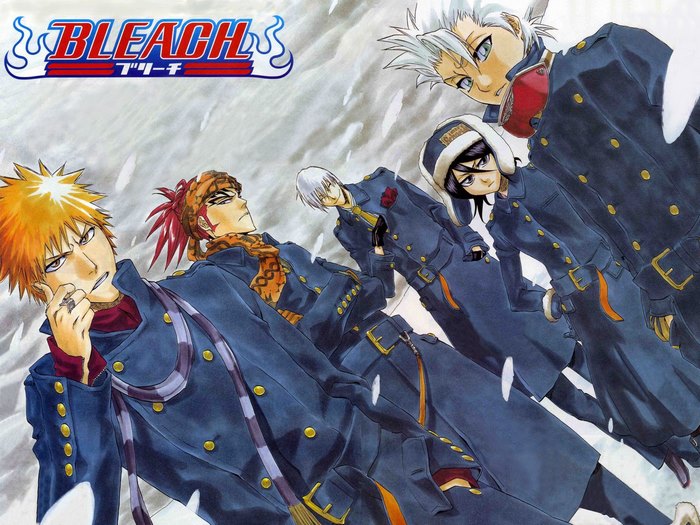 Bleach characters in winter coats