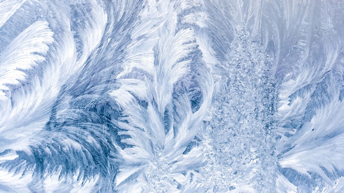 Close-up of frost patterns on a window