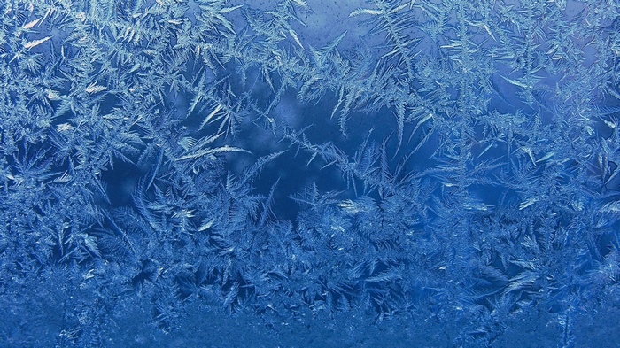 Close-up of frost patterns on a blue surface