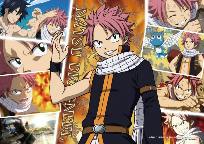 Natsu Dragneel and Gray Fullbuster from Fairy Tail