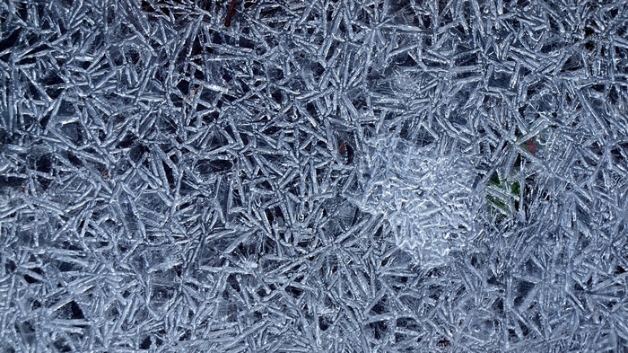 Close-up of intricate ice crystal formations
