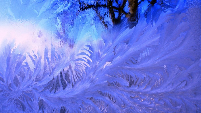 Frost patterns on a window with tree branches