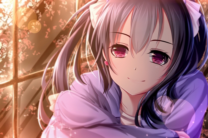 Nico Yazawa from Love Live! School Idol Project