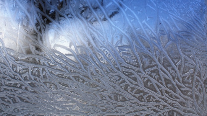 Frost patterns on a window