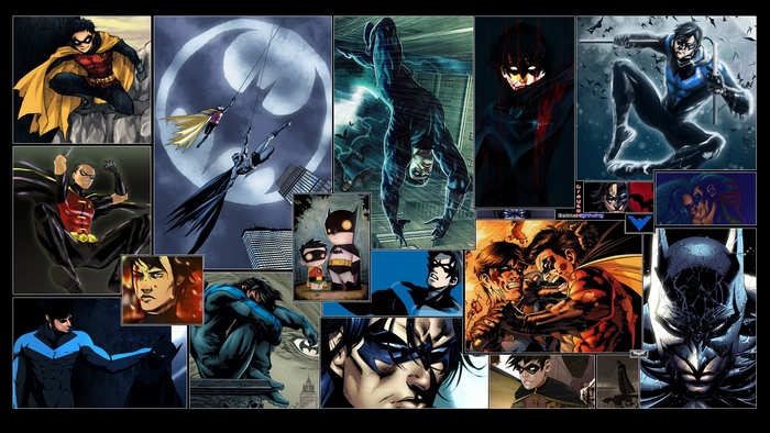 Robin and Nightwing from DC Comics