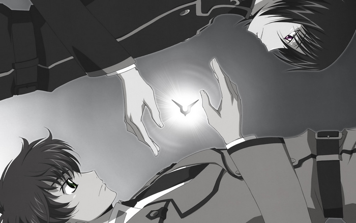 Lelouch and Suzaku from Code Geass
