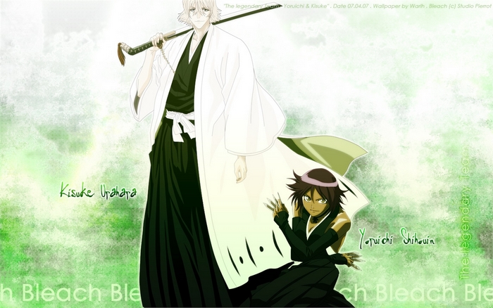 Yoruichi Shihouin and Kisuke Urahara from Bleach