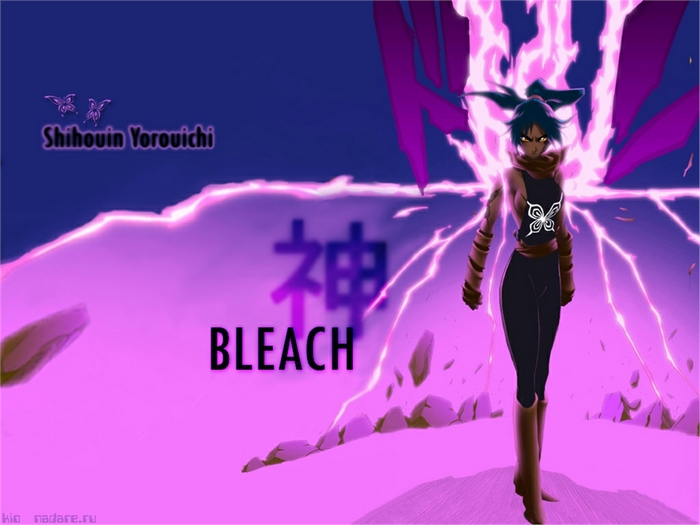 Shihouin Yoruichi from Bleach