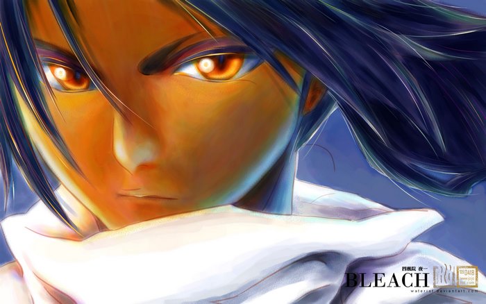 Yoruichi Shihouin from Bleach